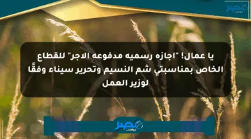 يا عمال! “إجازة رسمية مدفوعة الأجر” للقطاع الخاص بمناسبتي شم النسيم وتحرير سيناء وفقًا لوزير العمل